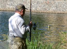 Interesant II :P - ibmages.jpeg